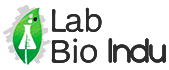 Labio Indu